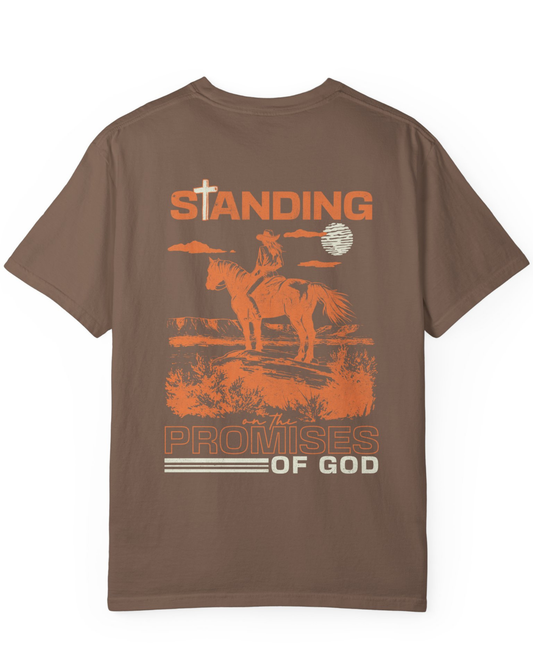 Brown Comfort Colors western t-shirt with faith inspired graphic, cowgirl style casual shirt